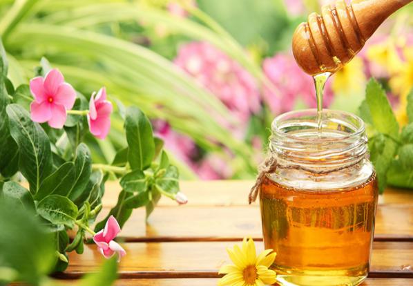 خواص عسل چهل گیاه یگ معجزه گر سلامتی و تندرستی!10 خاصیت جذاب