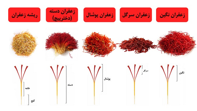 انواع زعفران ایرانی و طبقه بندی آن
